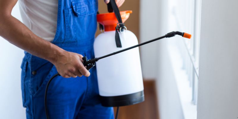 Como Fazer Dedetização em Casa em Rio Branco: 4 Dicas Simples Como fazer dedetização em casa em Rio Branco