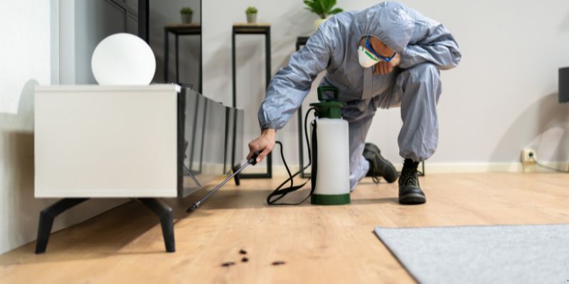 Quanto tempo dura uma dedetização em Rio Branco?